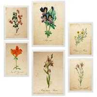 POSTER Set Mit 6 Botanica Frühlingszeit A3 & A4 Weißer Rahmen - Weiß, Papier (29/3cm) - Nacnic