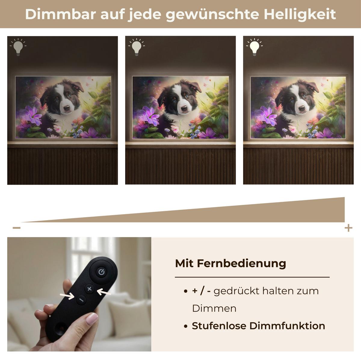 WANDLEUCHTE MIT AKKU Welpe - Sonne - Blumen - Natur - Border Collie - Hund 60x40 cm - Violett, Holzwerkstoff (60/40/8cm) - OnlyWow