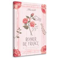 WANDBILD puder vintage blumen - Pink, Textil (40/60cm) - Feeby