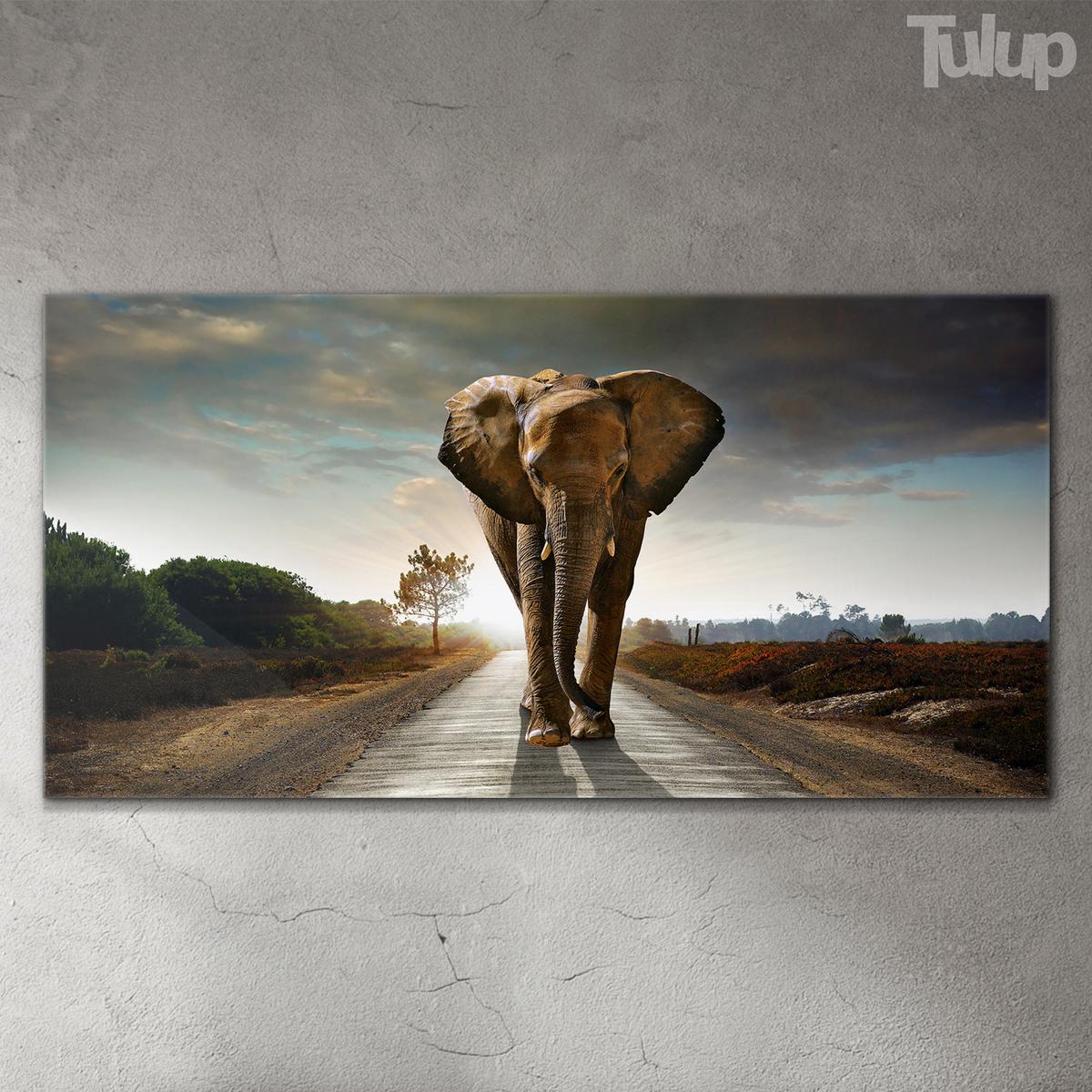 GLASBILD 140x70 cm Safari-Sonnenuntergang - Braun, Glas (140/70cm) - TULUP