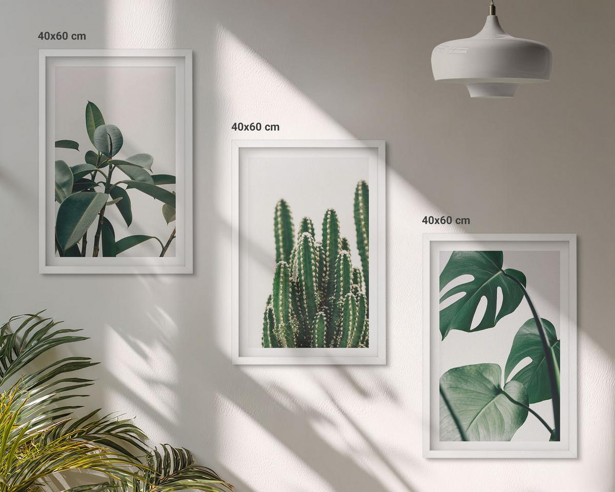 BILDER SET 3er Set - 40x60 cm Weißer Rahmen - Tropische ästhetische Pflanzen - Weiß, Kunststoff (40/60cm) - TULUP