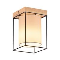 DECKENLEUCHTE Manzo 13.5/13.5/21 cm - Schwarz, Metall (13.5/13.5/21cm) - Nettlife