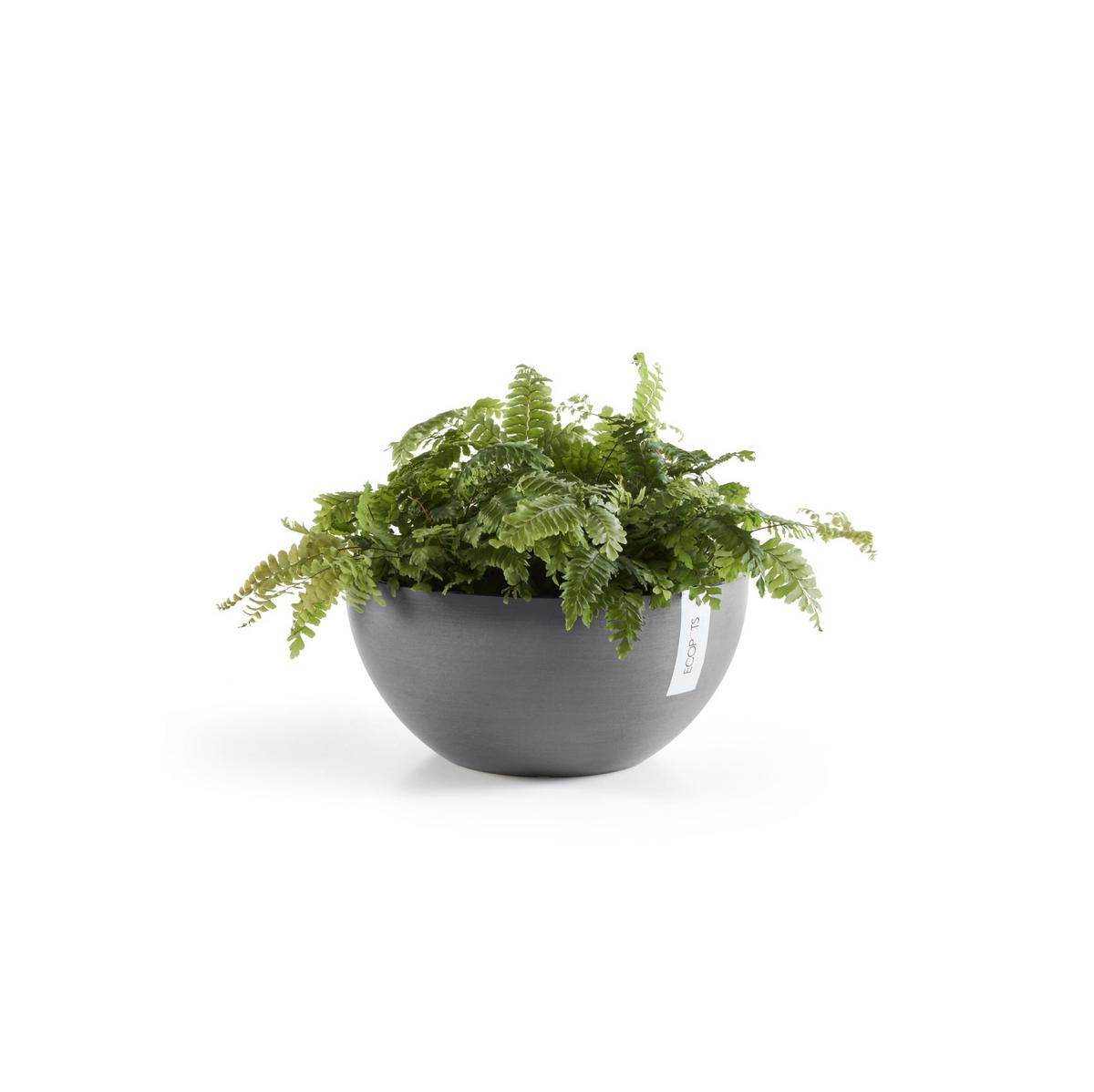 BLUMENTOPF Brussels 30/14,8 cm Grau - Grau, Kunststoff (30/14.8cm) - Ecopots