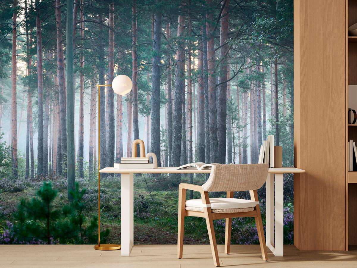 FOTOTAPETE für Wohnzimmer Nebelwald mit Bäumen Moos Grün 450x315 - Grau/Grün, Papier (450/315cm) - Muralo