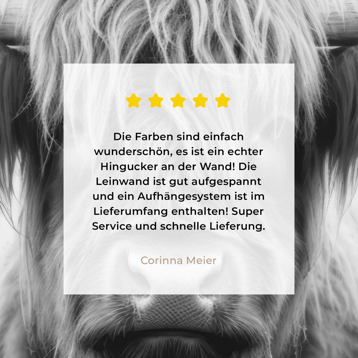 LEINWANDBILD Schottischer Highlander - Nebel - Schwarz - Weiß Deko Groß 90x90 cm - Grau, Textil (90/90cm) - MuchoWow