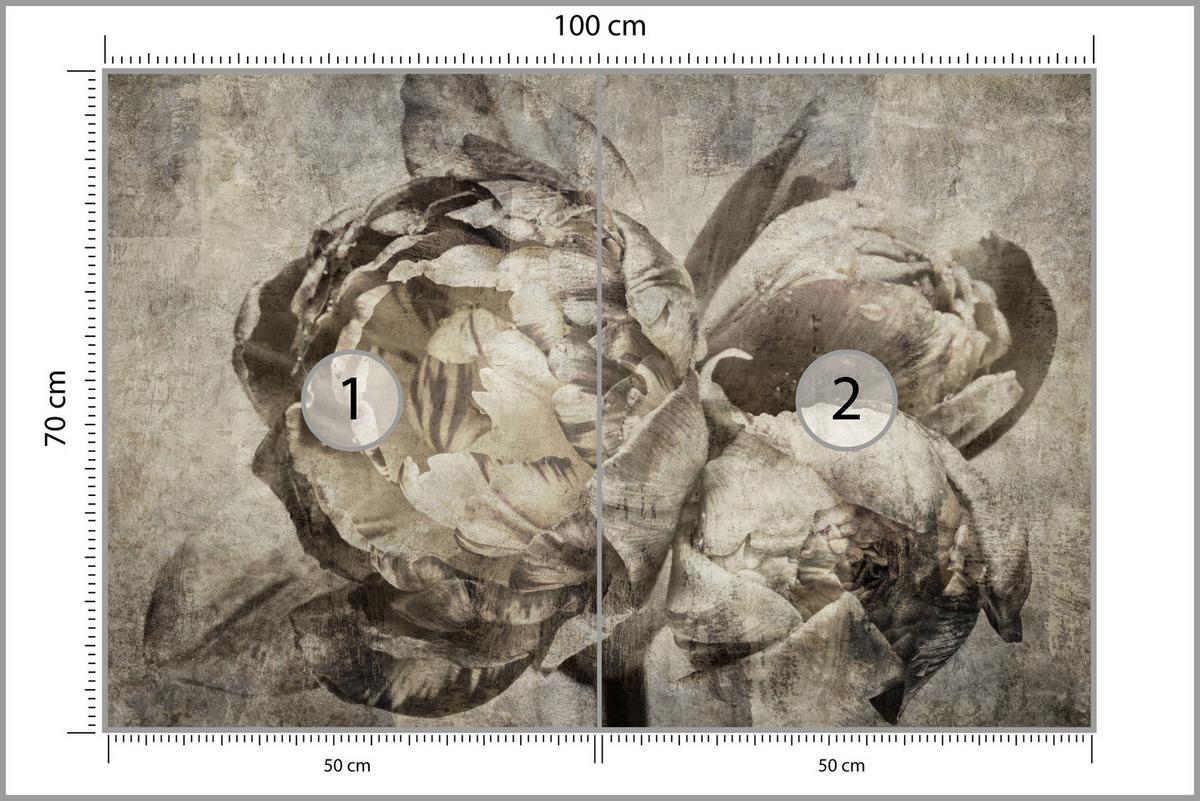 FOTOTAPETE Pfingstrosen Blumen Beton Vintage 100x70 - Beige/Braun, Papier (100/70cm) - Muralo
