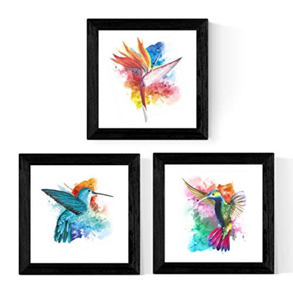 POSTER Set Mit 3 Kolibris Natur 30X30cm Rahmenlos - Klar, Papier (30/5/30cm) - Nacnic