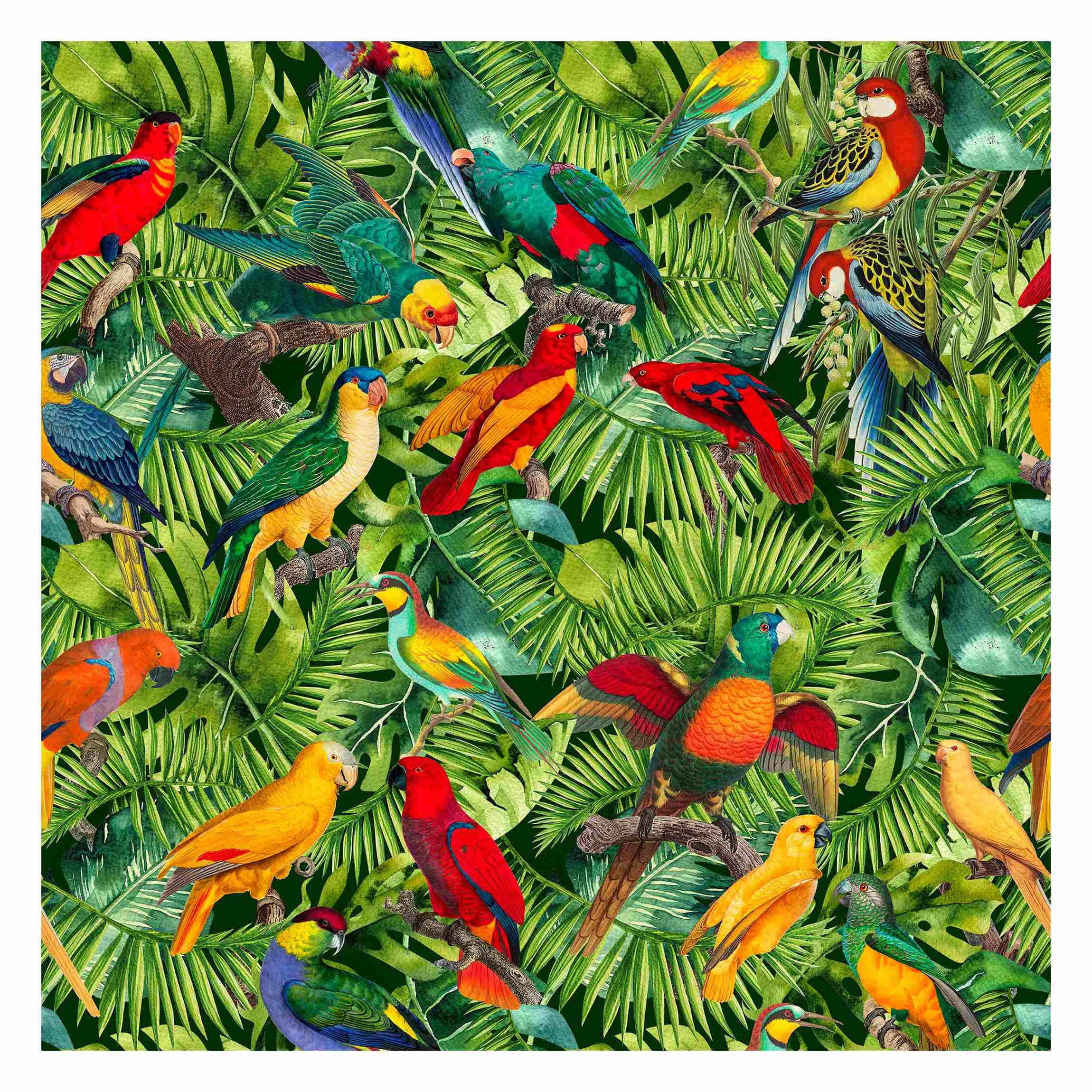 FOTOTAPETE Bunte Collage - Papageien im Dschungel 240/240 cm - Multicolor, Papier (240/240cm) - Bilderwelten