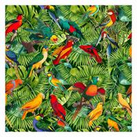 FOTOTAPETE Bunte Collage - Papageien im Dschungel 240/240 cm - Multicolor, Papier (240/240cm) - Bilderwelten