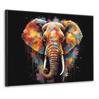 LEINWAND Bilder mit Rahmen - Elefant - Graffiti - Schwarz - Tiere - Farben - 70x50 - Schwarz, Textil (70/50cm) - MuchoWow