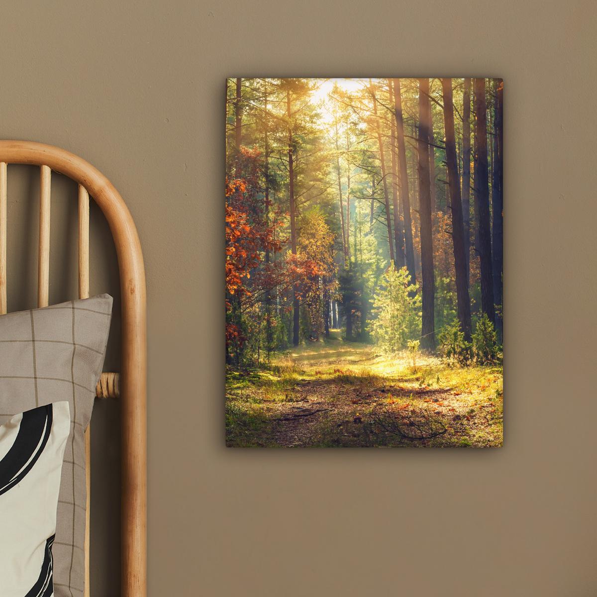 LEINWANDBILD Wald - Herbst - Bäume Room Decor 30x40 cm - Dunkelgrün, Textil (30/40cm) - MuchoWow