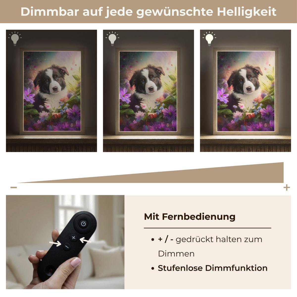WANDLEUCHTE MIT AKKU Welpe - Sonne - Blumen - Natur - Border Collie - Hund 30x40 cm - Violett, Holzwerkstoff (30/40/8cm) - OnlyWow