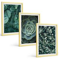 BILDER SET 3er Set - 40x60 cm Goldrahmen - Sukkulenten - Goldfarben, Kunststoff (40/60cm) - TULUP