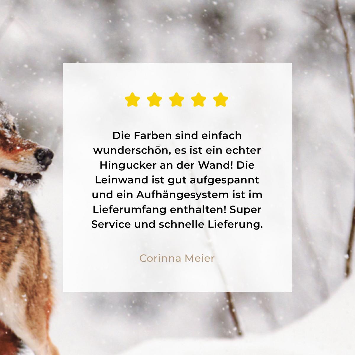 LEINWANDBILD Wolf - Winter - Schnee - Natur - Tiere Wanddeko 90x60 cm - Haselnussfarben, Textil (90/60cm) - MuchoWow