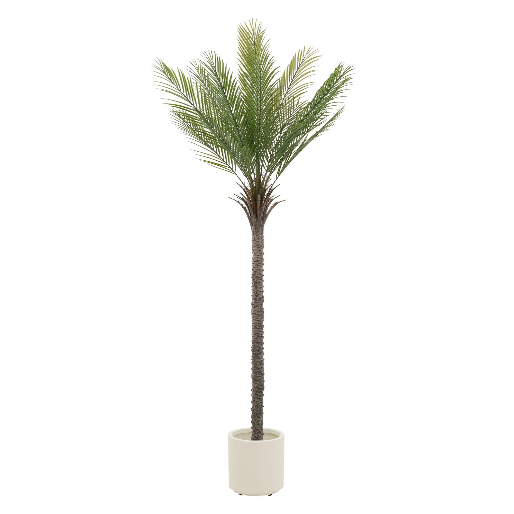 KUNSTPFLANZE Palme - Anthrazit/Grün, Holz/Kunststoff (210cm) - ML-DESIGN