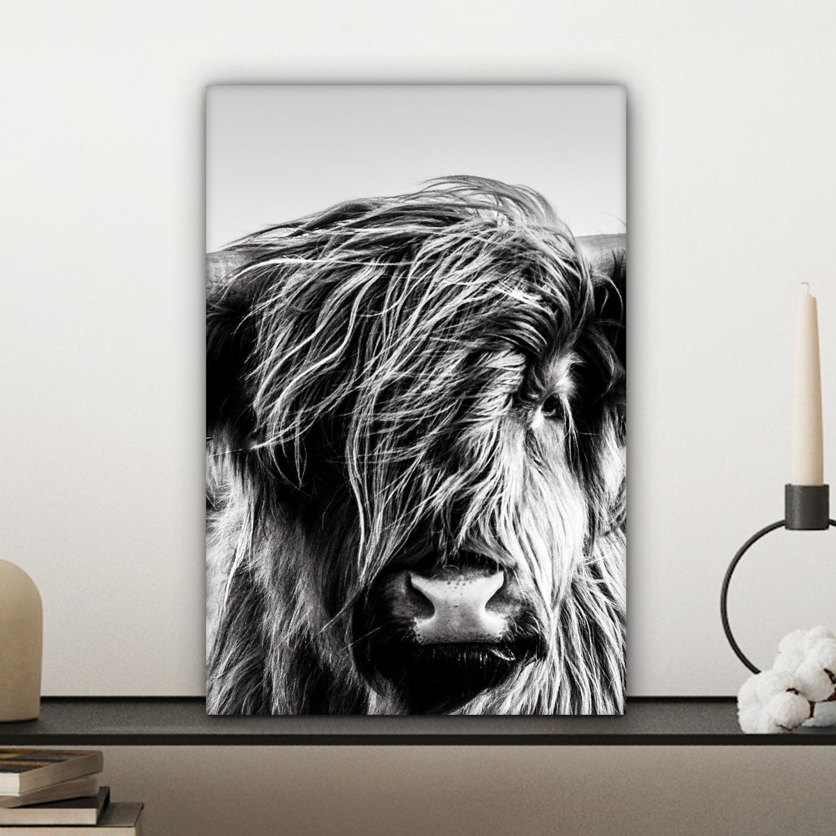LEINWANDBILD Kuh - Schottischer Hochländer - Schwarz - Weiß - Tier - Natur - Wildtiere Deko Wohnzimmer 20x30 cm - Schwarz, Textil (20/30cm) - MuchoWow