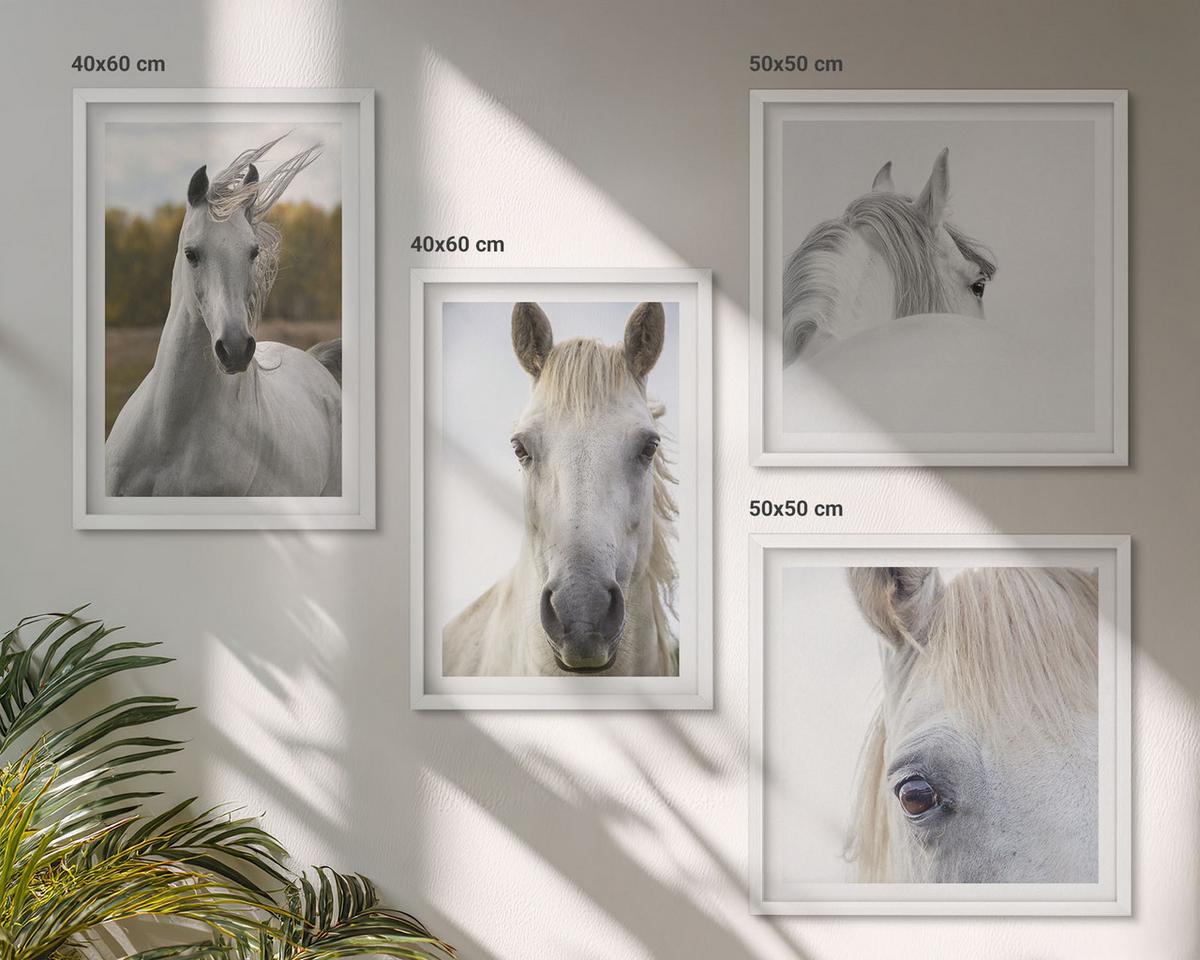 BILDER SET 4er Set - 50x50 cm & 40x60 cm Weißer Rahmen - Weiße Pferde - Weiß, Kunststoff (50/50cm) - TULUP