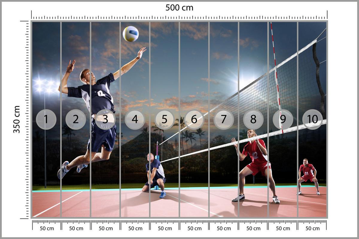 FOTOTAPETE für Jugendzimmer Volleyball Strand Tropen Match Spieler Palmen 500x350 - Rot/Schwarz, Papier (500/350cm) - Muralo