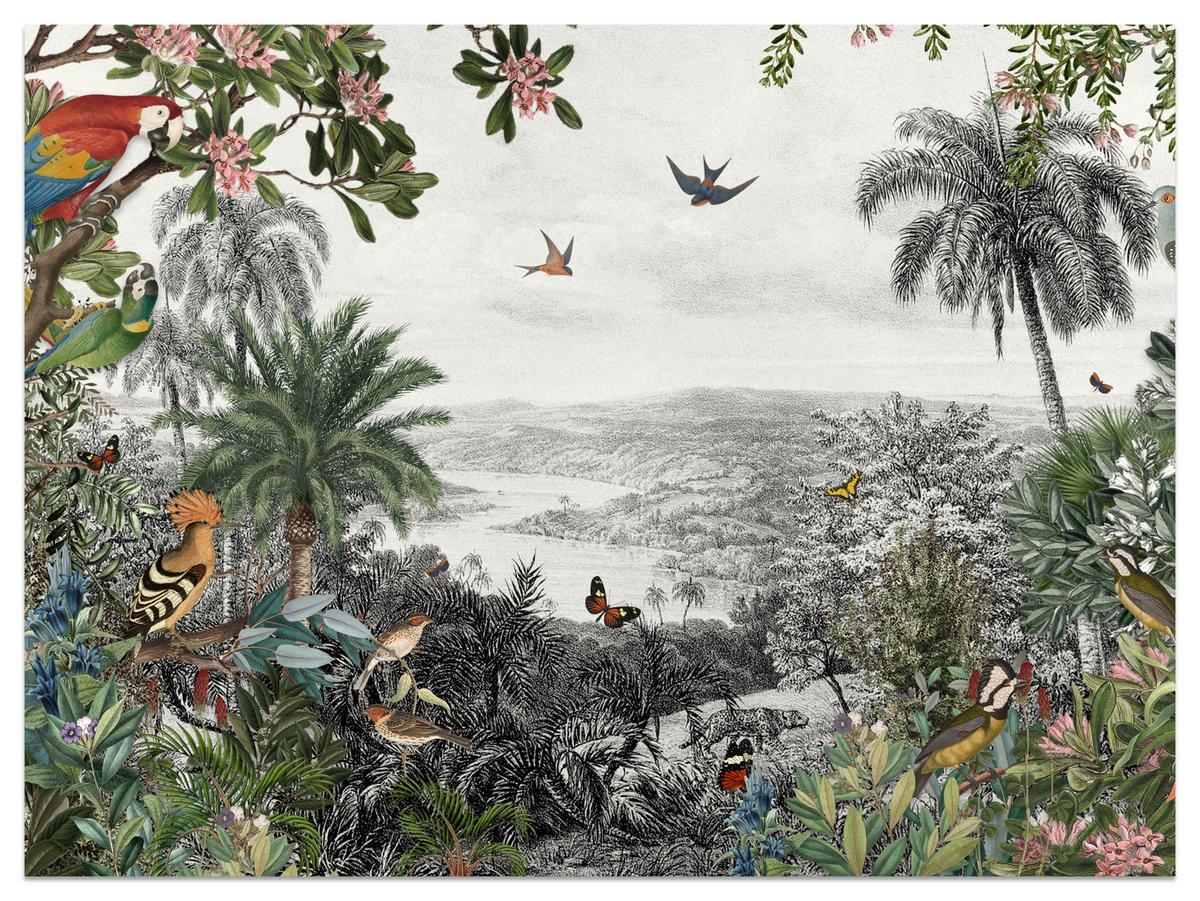 FOTOTAPETE für Wohnzimmer Tropenpapageien Vögel Palmen 250x175 - Gelb/Rot, Papier (250/175cm) - Muralo