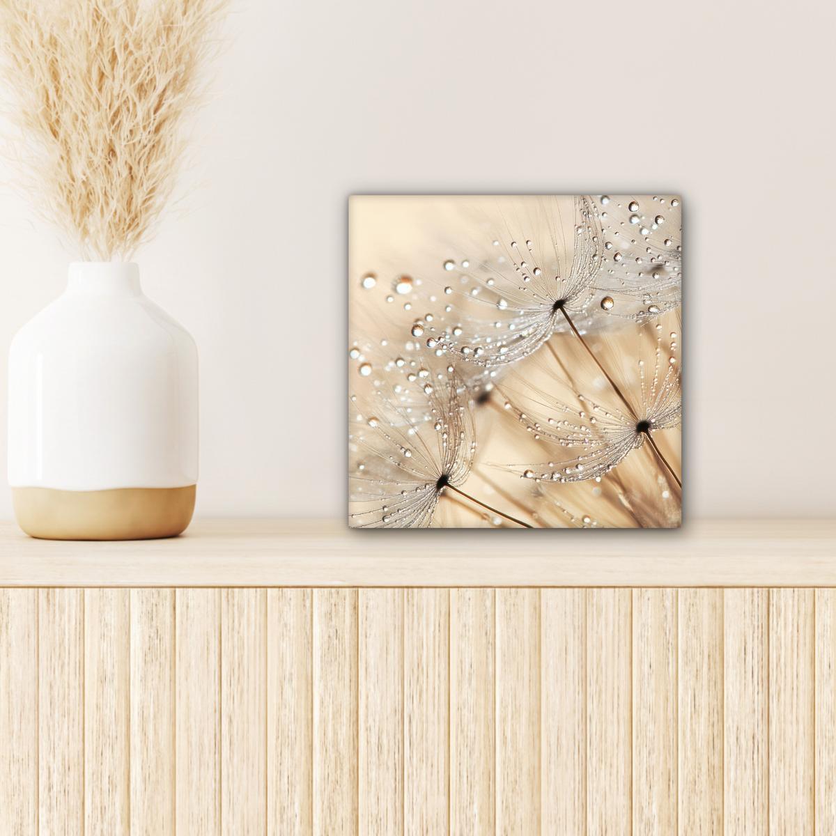 LEINWANDBILD Löwenzahn - Abstrakt - Natur - Beige Deko Wohnzimmer 20x20 cm - Braun, Textil (20/20cm) - MuchoWow