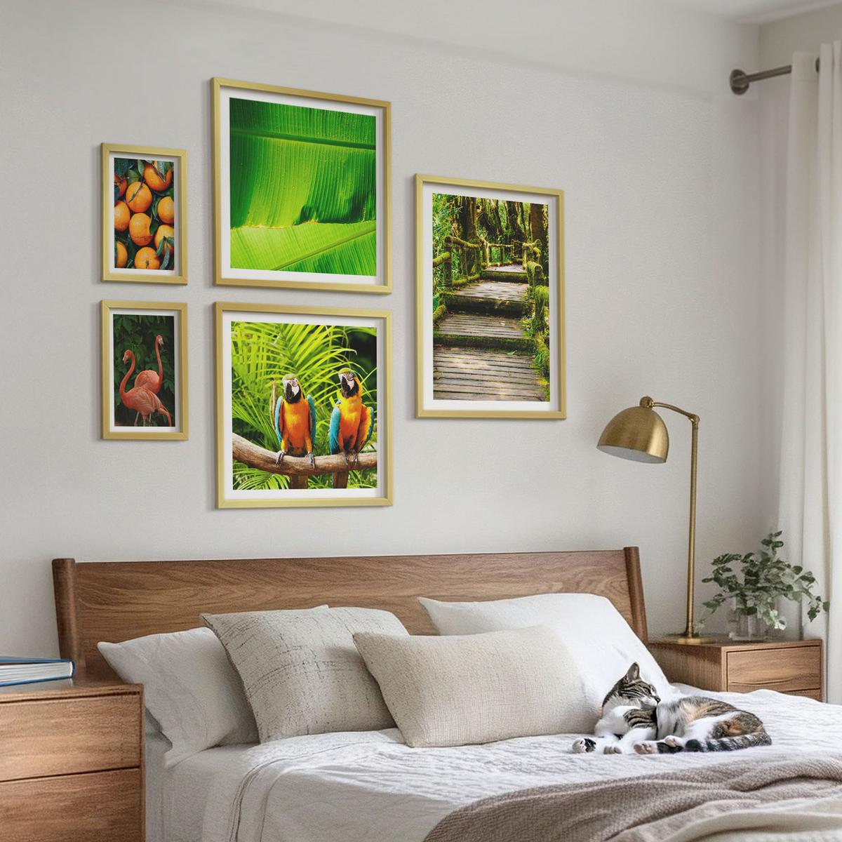 BILDER SET 5er Set - 50x50 cm & 20x30 cm & 40x60 cm Goldrahmen - Fruchtige Akzente der Tropen - Goldfarben, Kunststoff (40/60cm) - TULUP