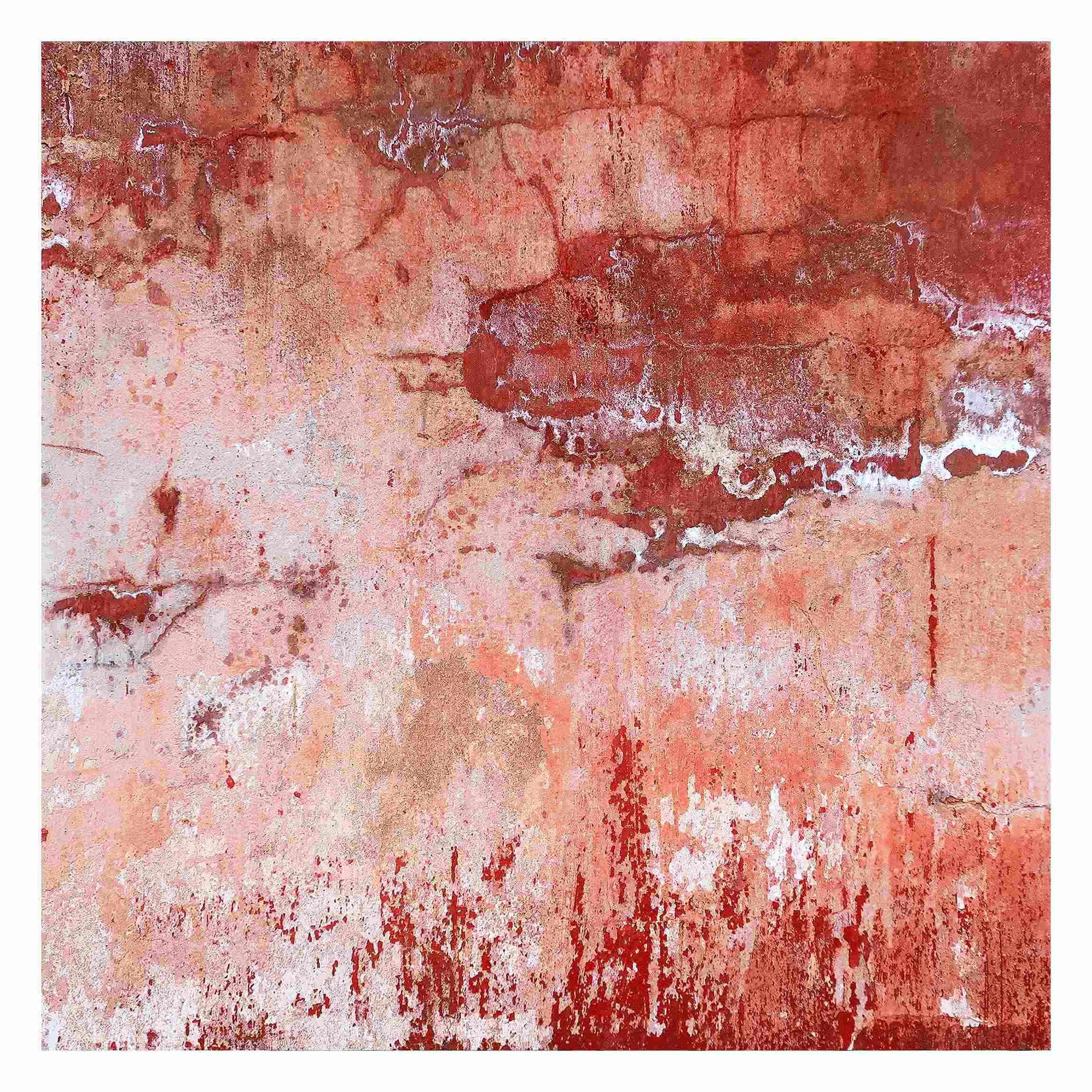FOTOTAPETE Grunge Betonwand Rot 288/288 cm - Rot, Papier (288/288cm) - Bilderwelten