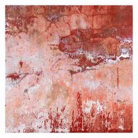 FOTOTAPETE Grunge Betonwand Rot 288/288 cm - Rot, Papier (288/288cm) - Bilderwelten