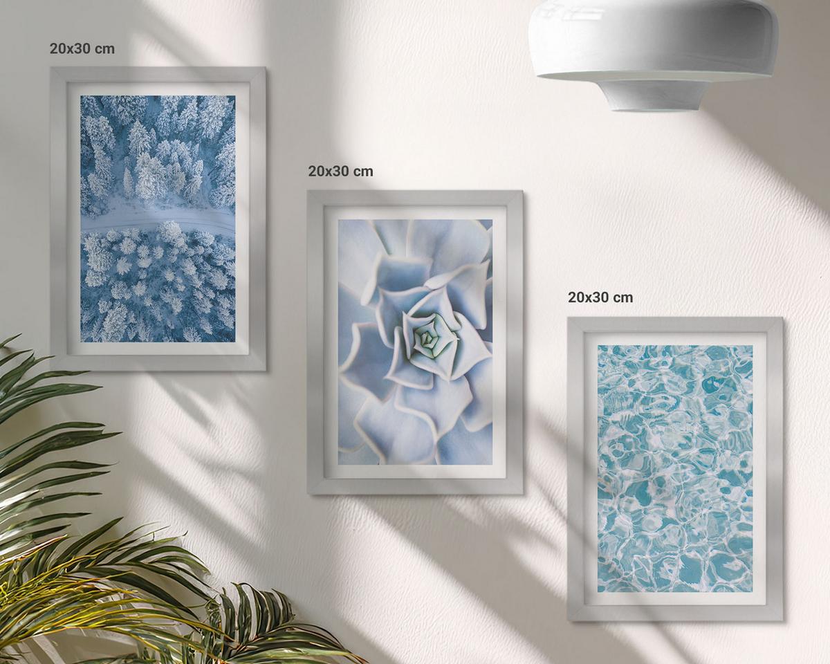 BILDER SET 3er Set - 20x30 cm Silberner Rahmen - Winterwald blaue Blume Wasser - Silberfarben, Kunststoff (20/30cm) - TULUP