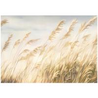 FOTOTAPETE Boho Beige Natur Vlies Tapete Wohnzimmer Schlafzimmer 350x250 - Multicolor, Papier (350/250cm) - Wallarena