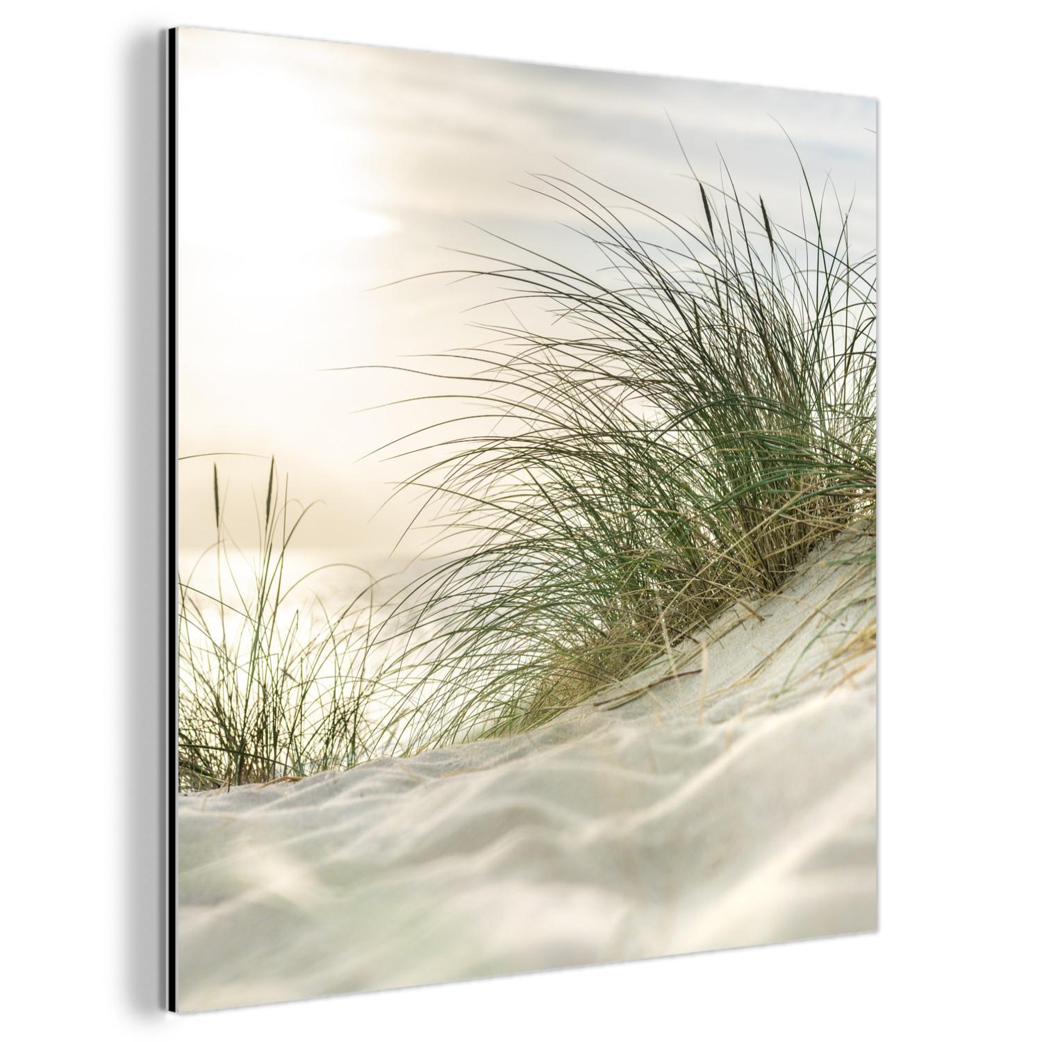 METALLBILD Dünen mit Strandhafer in der Sonne des Nationalparks Schleswig-Holsteinisches Wattenmeer 90x90 cm - Creme, Metall (90/90cm) - MuchoWow