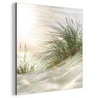 METALLBILD Dünen mit Strandhafer in der Sonne des Nationalparks Schleswig-Holsteinisches Wattenmeer 50x50 cm - Creme, Metall (50/50cm) - MuchoWow