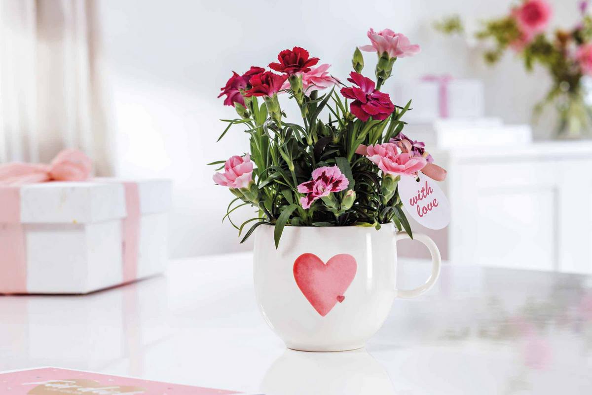 HENKELBECHER With Love weiß-gelb 290 ml 5er Set - Gelb/Weiß, Keramik (0.29L) - Villeroy & Boch