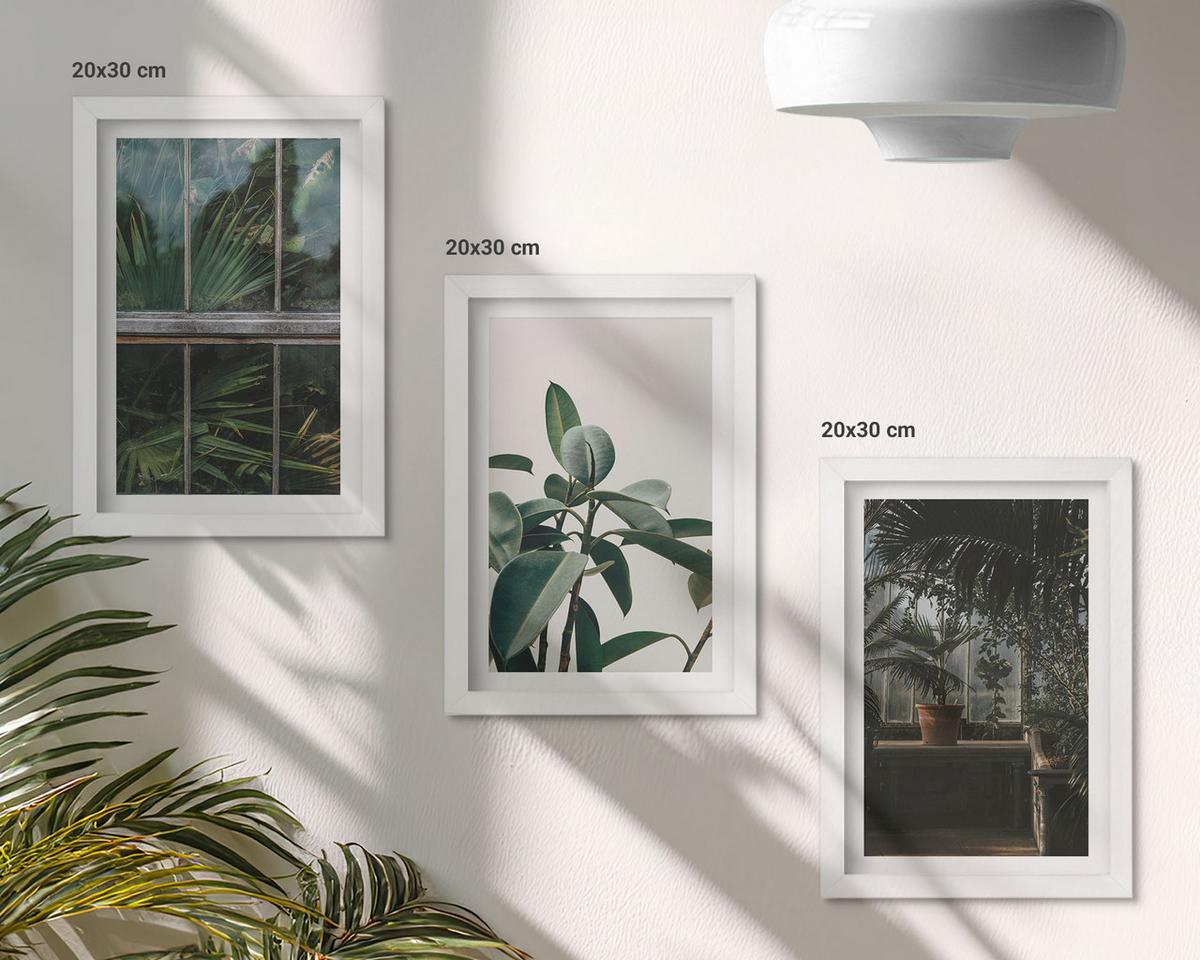 BILDER SET 3er Set - 20x30 cm Weißer Rahmen - Grüne Blätter an der Fensterpflanze - Weiß, Kunststoff (20/30cm) - TULUP