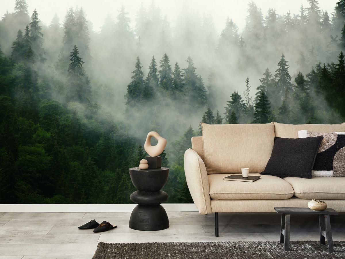 FOTOTAPETE Wald im Nebel Natur Landschaft 3D 200x140 - Grau/Grün, Papier (200/140cm) - Muralo