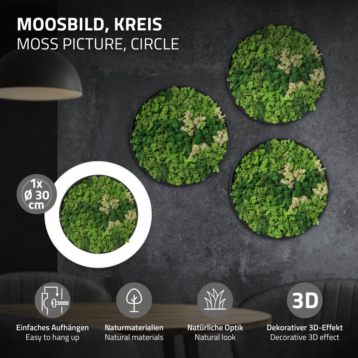 MOOSBILD Rund Ø 30 cm Mooswand Indoor mit Echtem Islandmoos und Holzrahmen Grün Pflegefrei - Salbeigrün, Naturmaterialien (30/30/3cm) - ECD-Germany