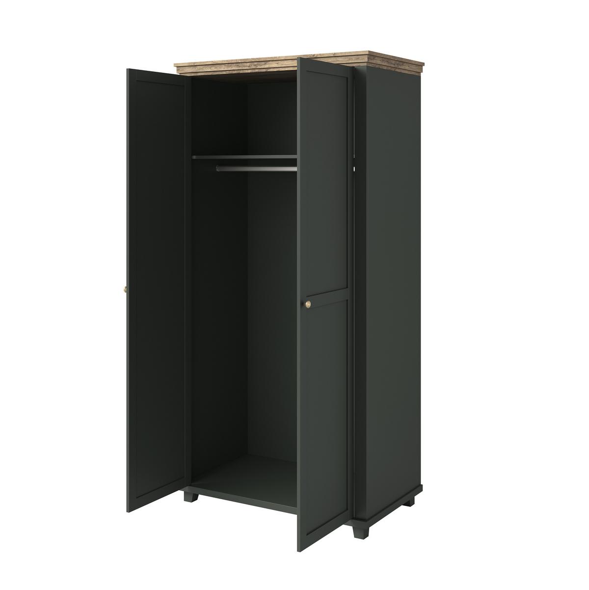 DREHTÜRENSCHRANK EVOLETTA 108/216/62 cm 2-türig Grün - Grün, Holzwerkstoff (108/216/62cm) - MASSENO