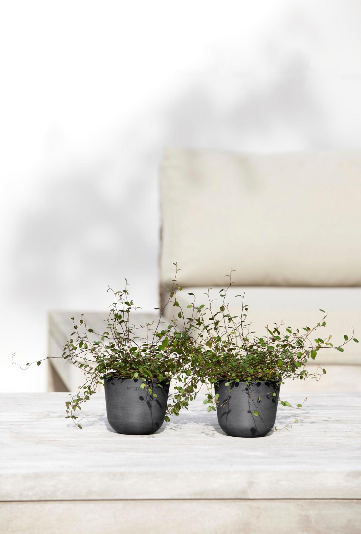 BLUMENTOPF Oslo Mini 11,4/9,5 cm Dunkelgrau - Dunkelgrau, Kunststoff (11.4/9.5cm) - Ecopots