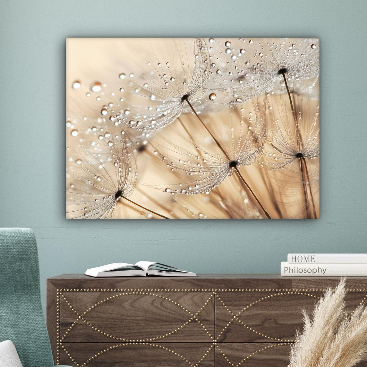 LEINWANDBILD Löwenzahn - Abstrakt - Natur - Beige Wandbilder 80x60 cm - Braun, Textil (80/60cm) - MuchoWow