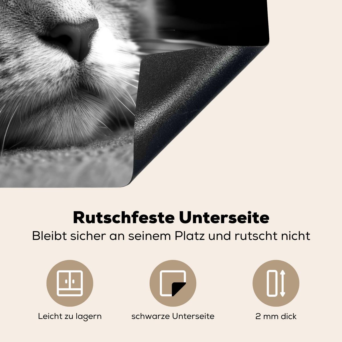 HERDABDECKPLATTE Katze - Grau - Tiere - Katze Herdabdeckung Induktionsfeld 70x52 cm - Grau, Kunststoff (70/52/0.2cm) - MuchoWow