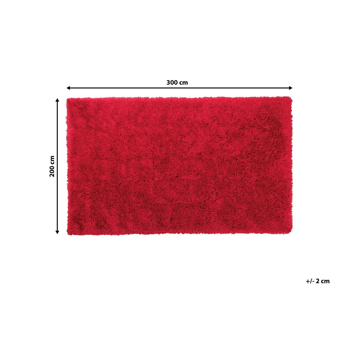 SHAGGY-TEPPICH Cide 300/200 cm - Rot, Kunststoff (200/300cm) - Beliani