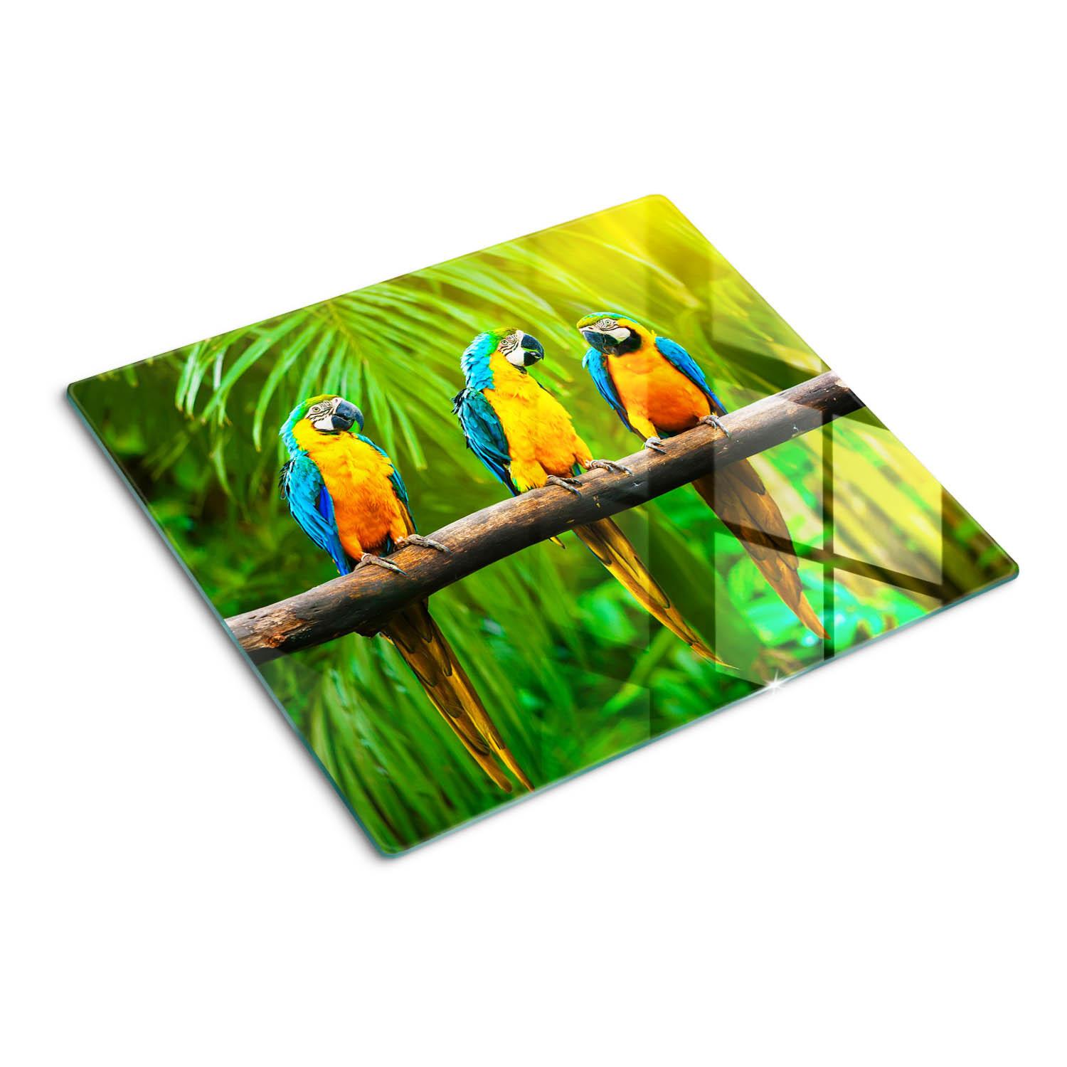 GLASPLATTE 60x52 cm Ein Zweig der Papageien - Limette, Glas (60/0.4/52cm) - TULUP