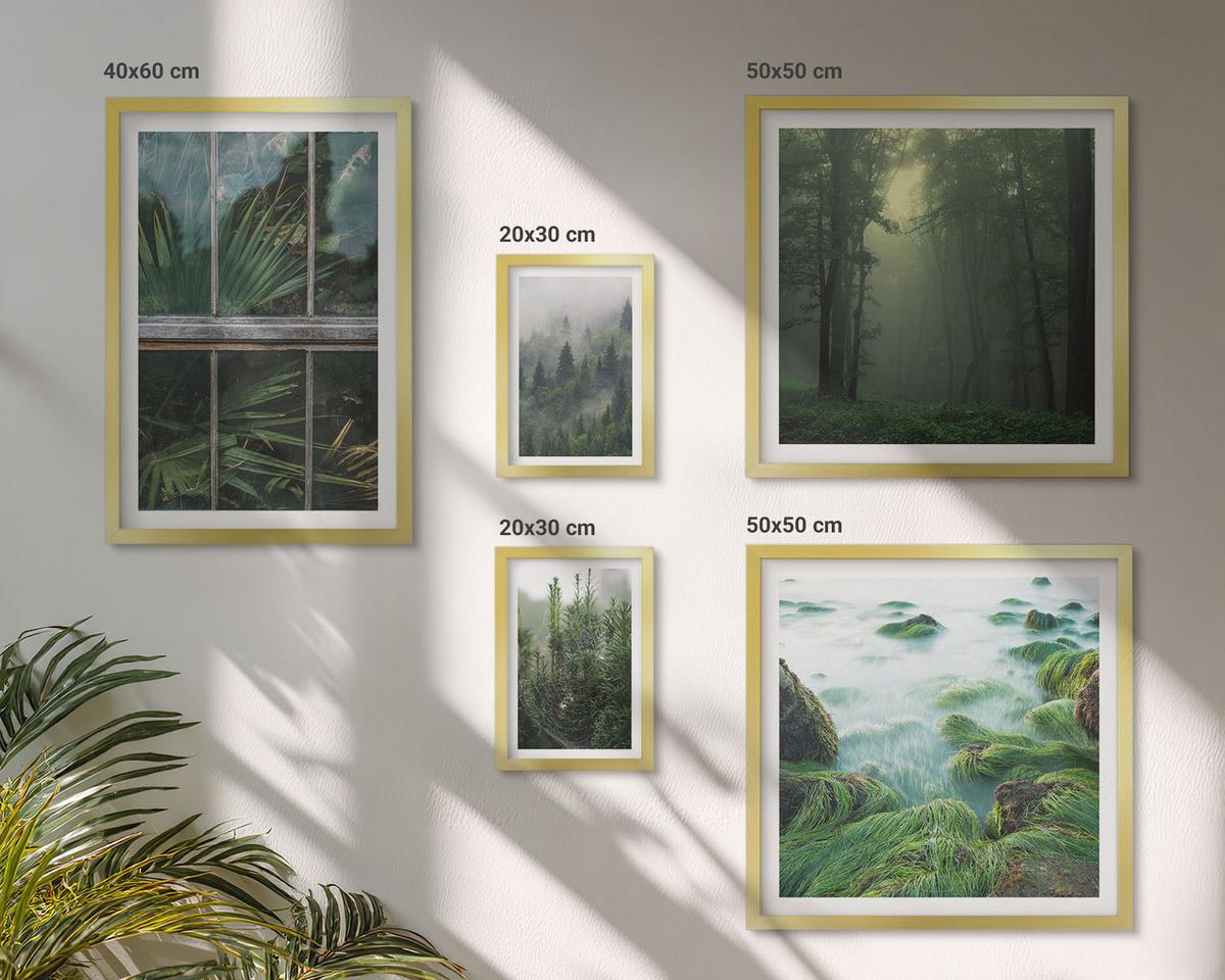 BILDER SET 5er Set - 50x50 cm & 20x30 cm & 40x60 cm Goldrahmen - Nahaufnahmen von Blättern sukkulenter Pflanzen - Goldfarben, Kunststoff (40/60cm) - TULUP