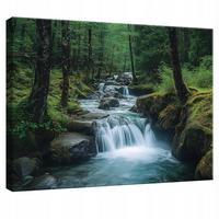 LEINWANDBILD Wasserfall Wald Natur Modern Wohnzimmer 60x40 - Multicolor, Holzwerkstoff (60/40cm) - Wallarena