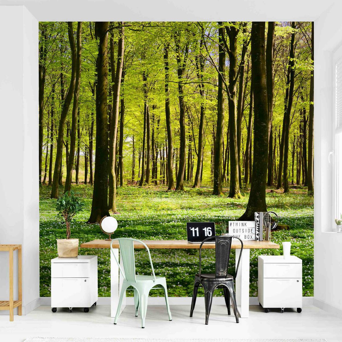 FOTOTAPETE Waldwiese 288/288 cm - Grün, Papier (288/288cm) - Bilderwelten