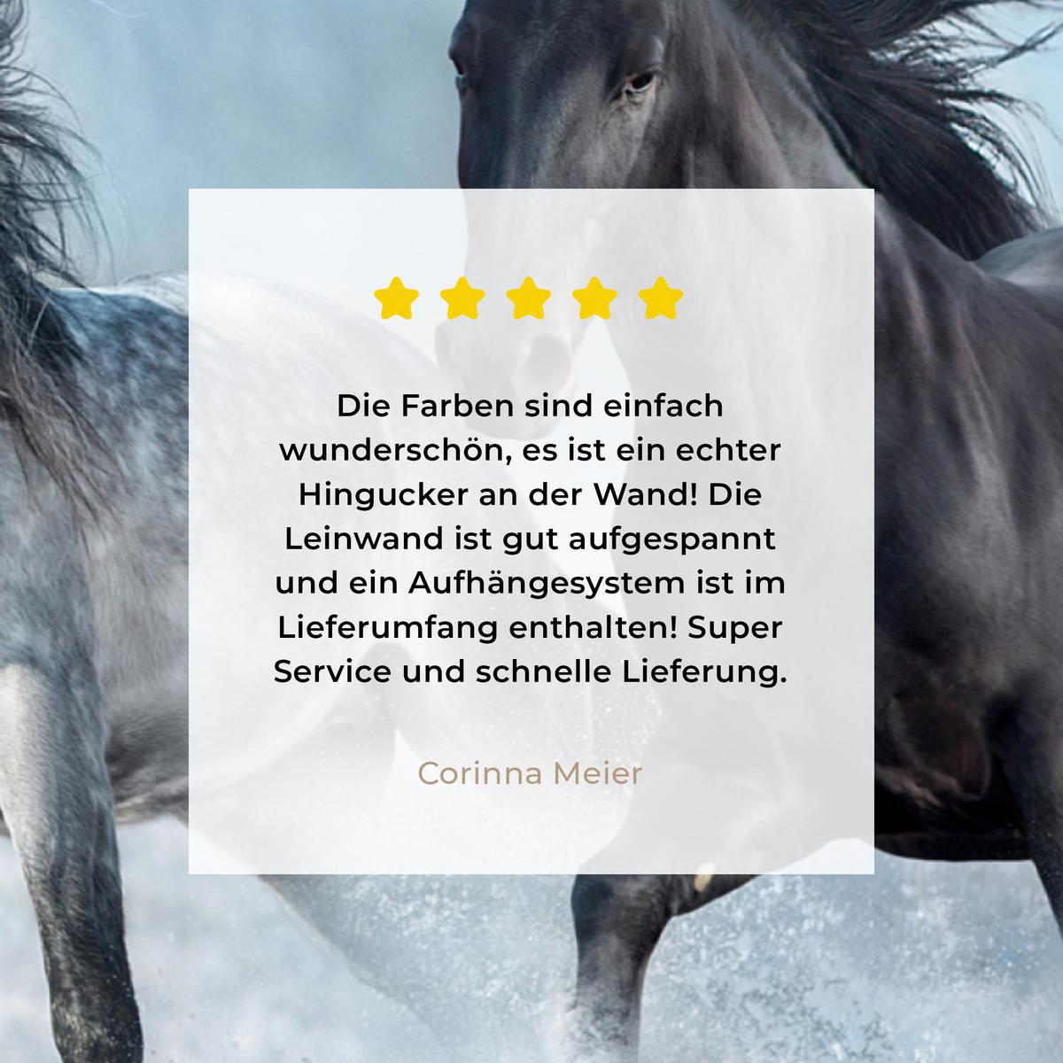 LEINWANDBILD Pferde - Winter - Tiere - Natur - Schnee Wandbild 40x30 cm - Anthrazit, Textil (40/30cm) - MuchoWow