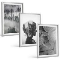 BILDER SET 3er Set - 40x60 cm Silberner Rahmen - Waldnebelporträt Baum Löwenzahn - Silberfarben, Kunststoff (40/60cm) - TULUP