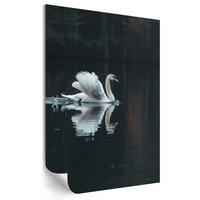 POSTER - 21x29 cm - Opium - Schwan im Wasser - Schwarz, Textil (21/29.7/0.1cm) - TULUP