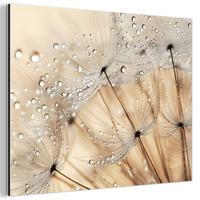 METALLBILD Löwenzahn - Abstrakt - Natur - Beige 80x60 cm - Braun, Metall (80/60cm) - MuchoWow