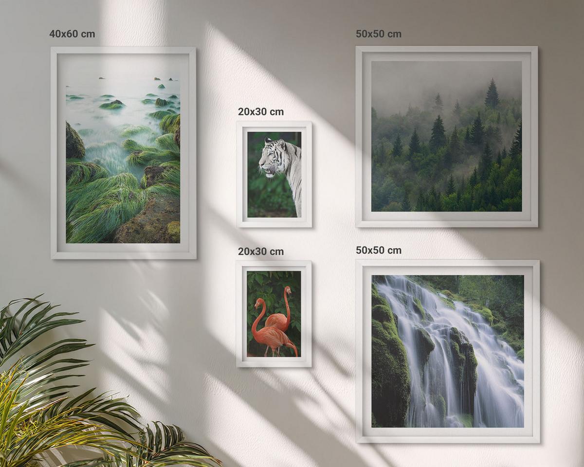 BILDER SET 5er Set - 50x50 cm & 20x30 cm & 40x60 cm Weißer Rahmen - Tiger Wasserfall Flamingos Natur - Weiß, Kunststoff (40/60cm) - TULUP