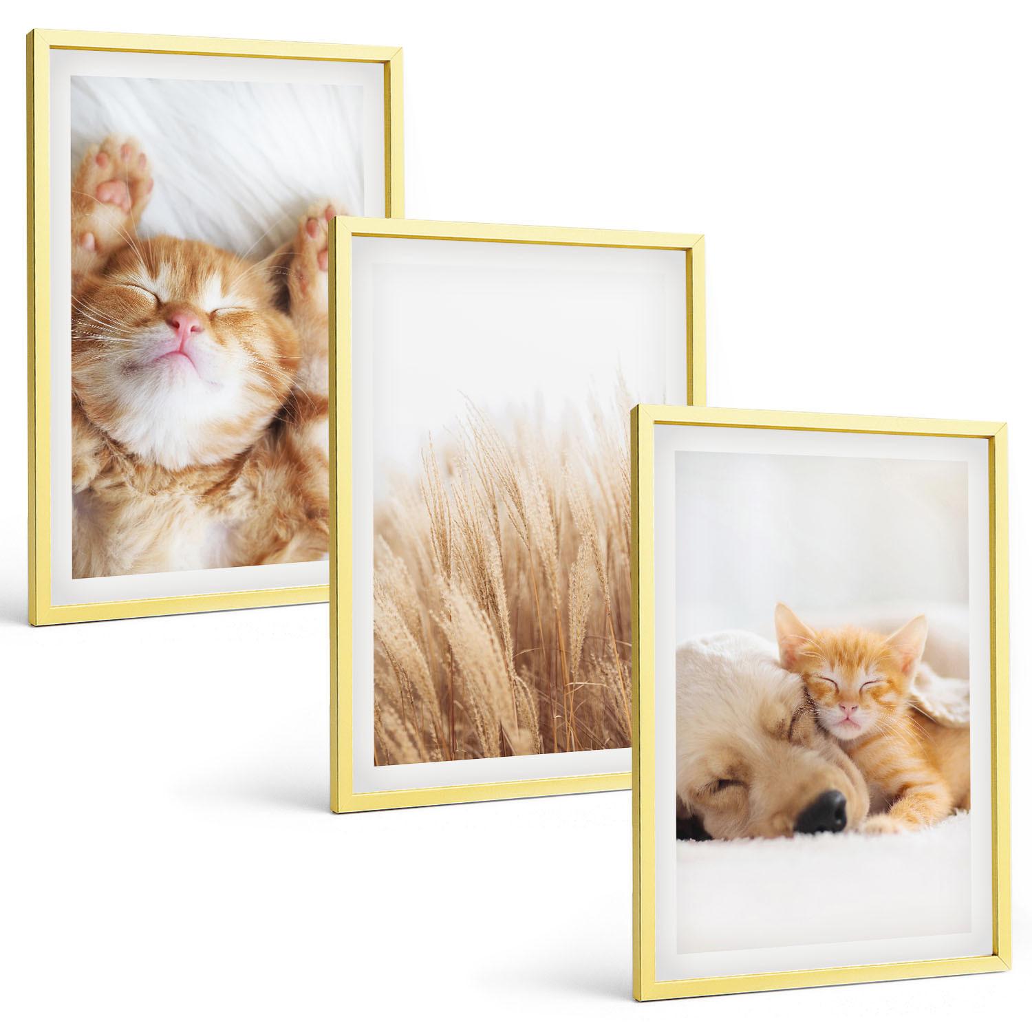BILDER SET 3er Set - 40x60 cm Goldrahmen - Niedliche Tiere, Katzen, Hunde, Boho-Stil - Goldfarben, Kunststoff (40/60cm) - TULUP